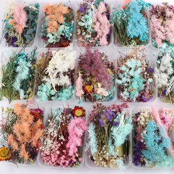 1 Kutija Šarene suhog cvijeća Za Proizvodnju Aromatičnih Svijeća Botanički Slike Ogrlice Nakit Obrt Dekor DIY Pribor