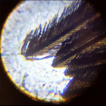 12 Kom. Priprema Plastični Mikroskop Slajdova Biološki Uzorak Sa Kutije Za Djecu Student Prosvijetli Obrazovanje